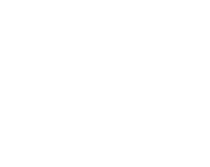 FFBagarre
